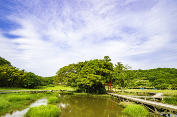 Fototapeta na wymiar 厳島湿性公園