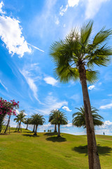 white clouds in blue sky