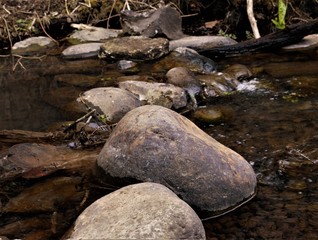 Stepping Stones