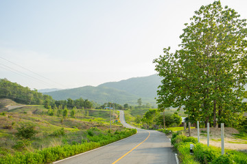 Concrete road with the natural view at Pai, Thailand.