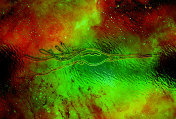 drawing of mystic Bird face. Cosmic space and glass effect.