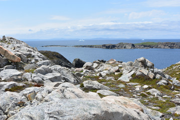 Fototapeta na wymiar Newfoundland, Canada: barren rocky landscape with icebergs in the bay
