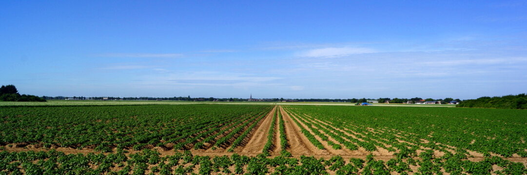 Naturlandschaft um KERKEN am Niederrhein