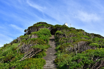 蒲生田岬灯台への階段(2017年6月)