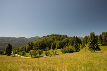 Fototapeta na wymiar Beautiful mountain landscape, at Julian Alps, Slovenia
