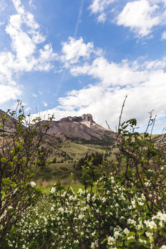 Rocky Mountains in Spring Landscape