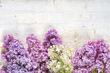 lilac top view on a wooden background with copy space