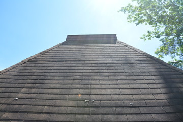 Style of roof