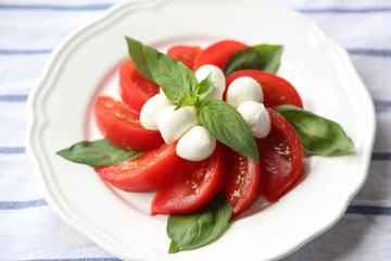 CAPRESE SALAD WITH TOMATOES, MOZZARELLA CHEESE AND BASIL LEAF ON A WHITE PLATE.
