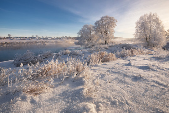 A Real Russian Winter. Morning Frosty Winter Landscape With Dazzling White Snow And Hoarfrost,River And Saturated Blue Sky. Foggy  River Bank With Frost-Covered Trees And Crispy Reeds In The Frost..