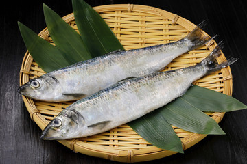 にしん　Herring