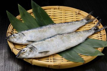 にしん　Herring