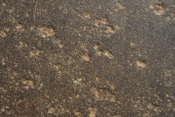 Steel metal texture background 