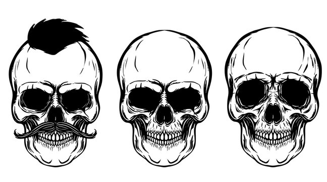Set of the skulls isolated on white background. Design elements for poster, t-shirt. Vector illustration