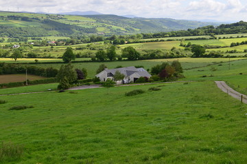 Fototapeta na wymiar The Irish countryside in June. 