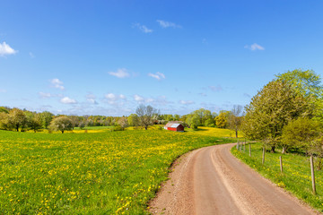Fototapeta na wymiar Country road through rural landscape in spring