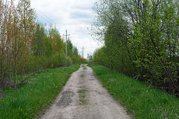 Fototapeta na wymiar Landscape with road, grass, trees, sky and power line