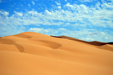 Fototapeta na wymiar Wüste in Nevada