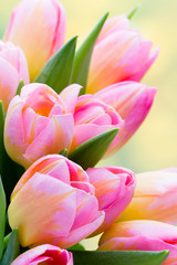Fototapeta na wymiar Spring flowers. Tulip bouquet on the bokeh background.