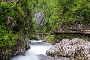 Canyon at Slovenia, Vintgar Gorge