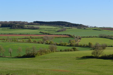 Naklejka premium Champs d'Aveyron