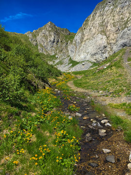 Piccolo torrente nelle alpi Carniche in Friuli Venezia Giulia