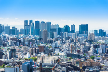 Obraz premium 新宿副都心の高層ビル