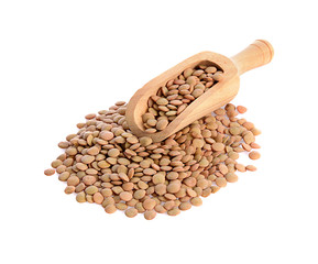 lentils in wood scoop isolated on white background