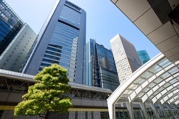 Fototapeta na wymiar 汐留の高層ビル群