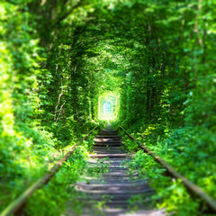 Obraz premium Famous 'Tunnel of Love' in Ukraine