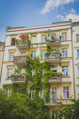 Apartment building covered with green Ivy plant