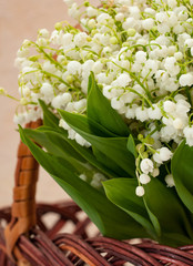Flower lily of the valley closeup in a basket