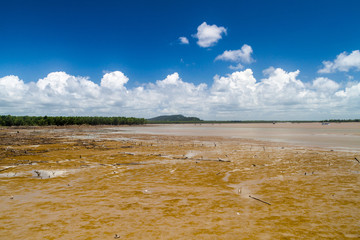 Cayenne river mouth during the low tide, French Guiana