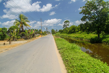 Water canal between former plantations in Suriname