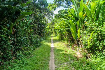 Natural park at former Peperpot plantation in Suriname