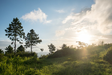 Sunset scene at Phu Chi fa mountain ,chiang rai , Thailand.