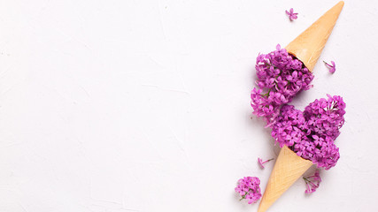Splendid lilac flowers in waffle cones on grey textured background. Top view. Place for text.
