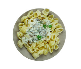 Italian pasta gomiti with mushroom sauce.