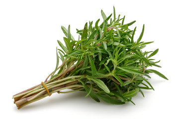 Thyme