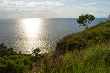 Seascape.