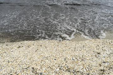 Landscape with sea view, waves and sea shells, clouds, photographed in Gura Portiţei, Romania, in cloudy spring day