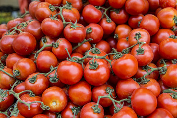 Fresh tomatoes 