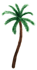 Palm tree in watercolor