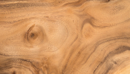 Naklejka premium Hardwood texture in brown color. aged trees. above view