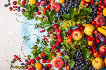 various fruits and berries