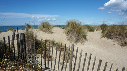 D&uuml;nenlandschaft am Strand l&Eacute;spiguette in der Camargue - Frankreich