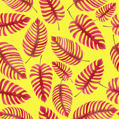 Fototapeta na wymiar Monstera leaves, tropical watercolor pattern for design.