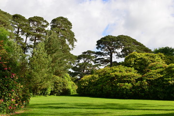 The landscaped gardens at a country home in Ireland.
