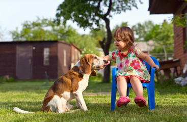 Little girl playing with a dog on the lawn .