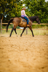 Cowgirl doing horse riding on countryside meadow